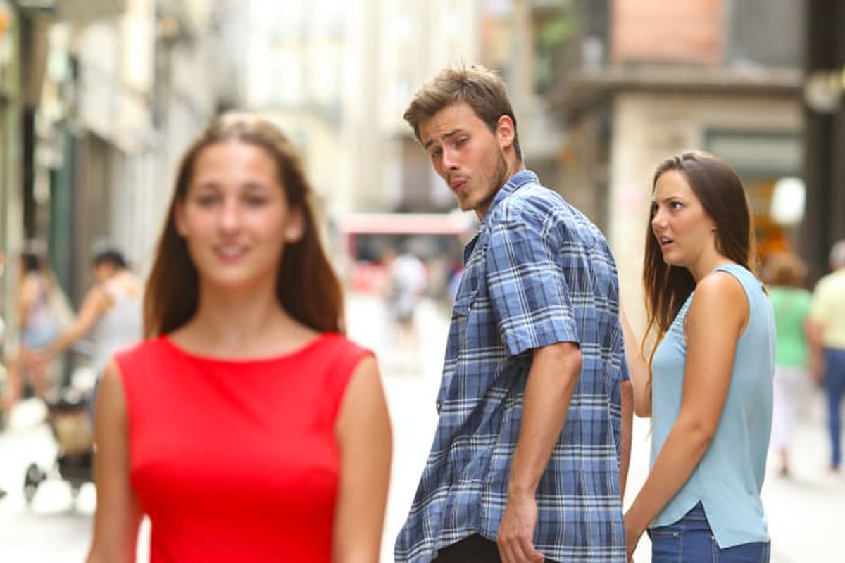 Distracted Boyfriend meme about Function of Beauty