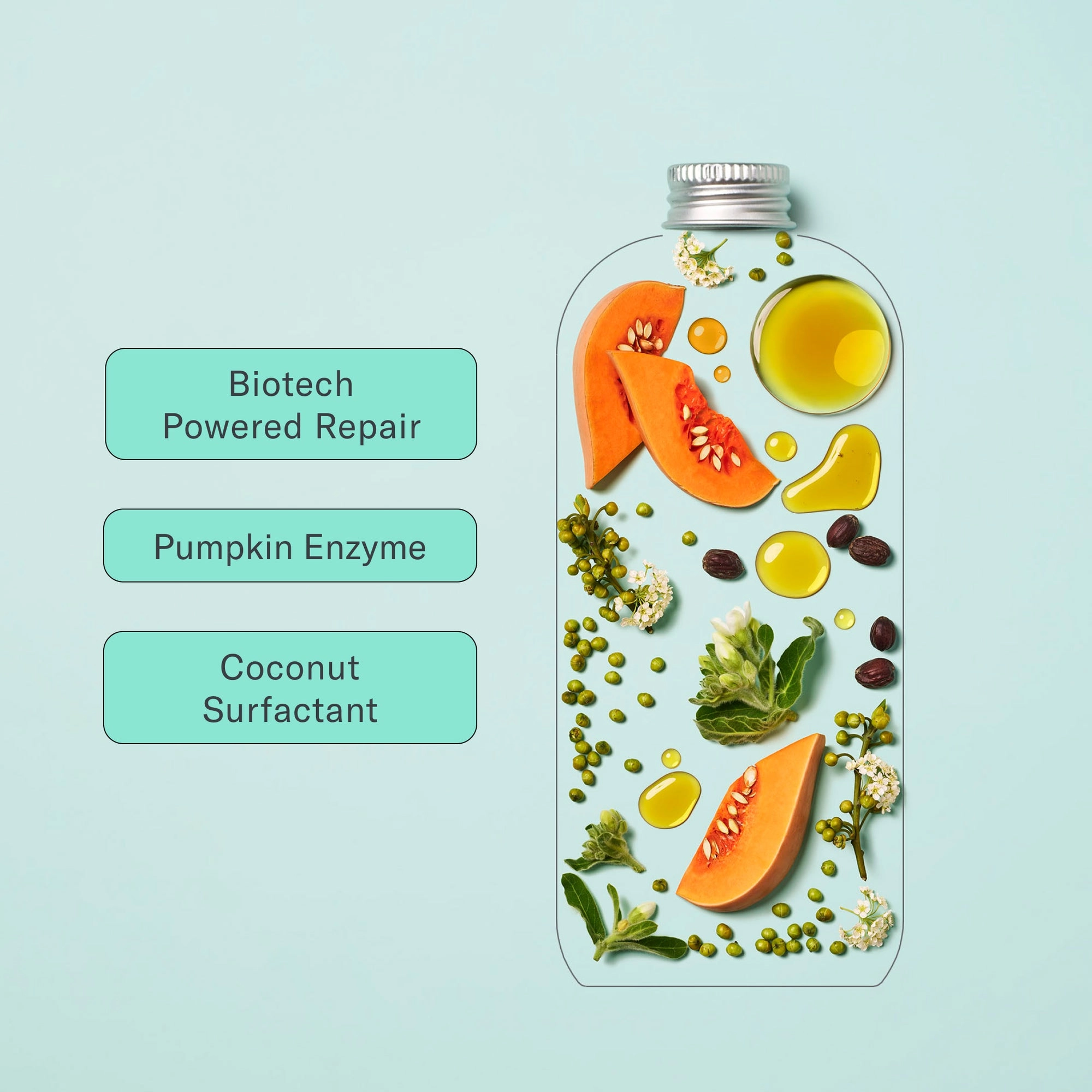 Mint recovery shampoo bottle beside fruit and ingredient labels